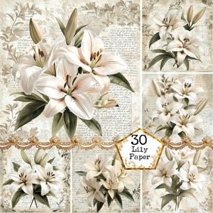Pacote de papéis digitais jpeg scrapbook lírio, 12x12 polegadas, papéis resistidos, flor, download instantâneo, artesanato, diário, scrapbooking