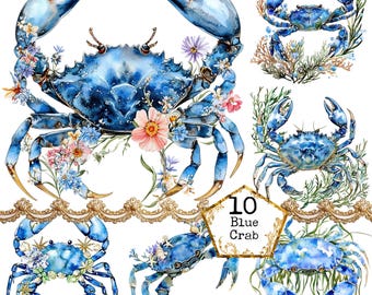 Blue Crab Clipart Bundle – 10 Watercolor Nautical Illustrations in PNG & JPEG format, Coastal Marine Animal, Ocean Beach Digital Art Set