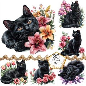 JPEG aquarel bloemen zwarte kat clipartbundel zwarte kat illustratie huisdier clipart Instant Download papier ambachten ongewenste dagboek scrapbooking