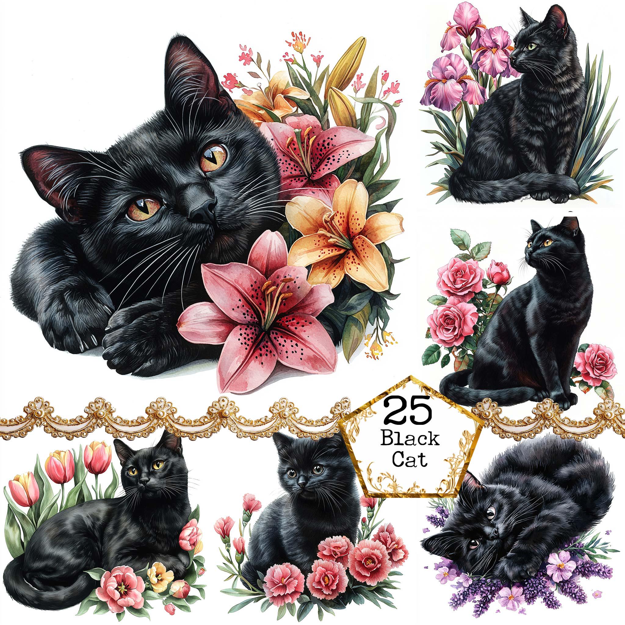 JPEG Watercolor Floral Black Cat Clipart Bundle Black Cat