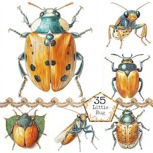 PNG Aquarell Bugs Clipart Bundle Käfer PNG Motte Schmetterling Pastell Farbe Papier Handwerk Junk Journal Scrapbooking Sofortiger Download