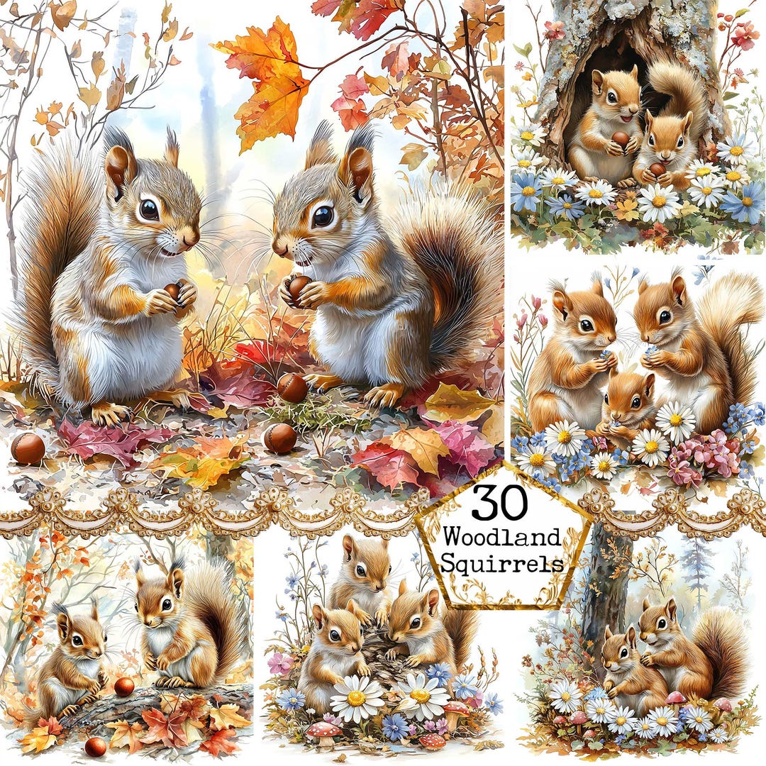 JPEG Squirrels Digital Background Woodland Animals Forest Clipart ...