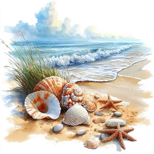 a painting of seashells and starfish on the beach