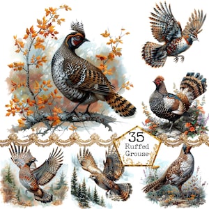 JPEG Variabel Auerhahn Jagd Clipart Bundle Auerhahn Jäger Clipart Jagd Clipart Sofortiger Download Papier Handwerk Junk Journal Scrapbooking