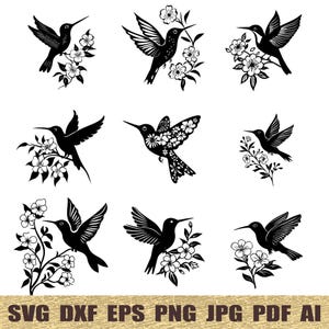 20 Floral Humming Bird svg, dxf, eps, ai, pdf, jpg, png Floral Bird Silhouettes Cut File printable vectors commercial use instant download