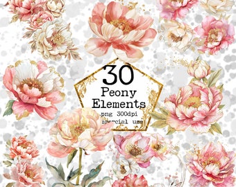 PNG Watercolor Peonies Clipart Bundle Flowers Arrangements Separate Elements Watercolor PNG floral clipart Instant Download Paper Crafts