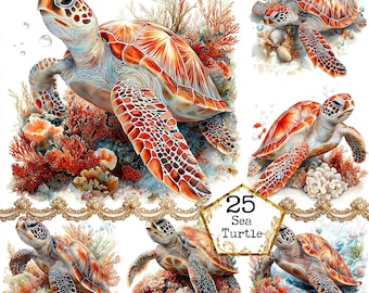 JPEG Watercolor Sea Turtle Clipart Bundle Coral Reef Ocean Clipart Summer Clipart Instant Download Paper Crafts Junk Journal Scrapbooking