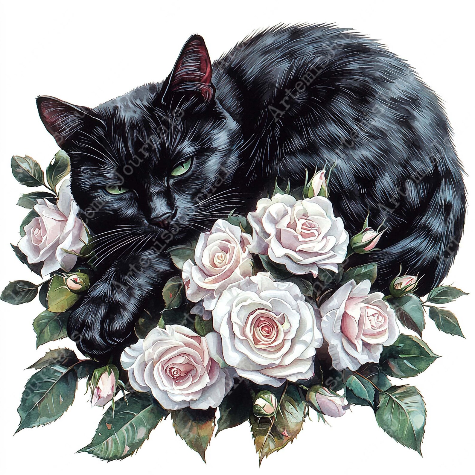 JPEG Watercolor Floral Black Cat Clipart Bundle Black Cat Illustration ...