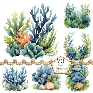 PNG + JPEG Watercolor Coral Reef Clipart Bundle See life Clipart Ocean Summer Art Instant Download Paper Craft Junk Journal Scrapbooking
