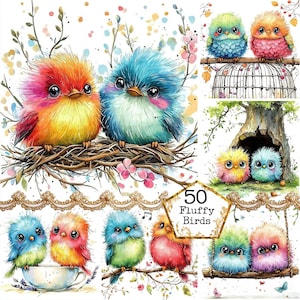 JPG Akwarela Puszyste Kolorowe Ptaki Clipart Bundle Fantazyjny Ptak Dziwaczny Ptak Przyjaciel Natychmiastowe Pobieranie Papierowe Rzemiosło Junk Dziennik Scrapbooking