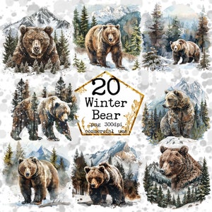 Inverno orsi bruni acquerello Clipart Bundle fauna selvatica animali della foresta grafica PNG Download immediato artigianato di carta Junk Journal Scrapbooking