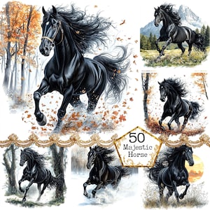 JPEG magnifique cheval noir Clipart Bundle cheval sauvage des cliparts usage commercial Téléchargement instantané papier artisanat Junk Journal Scrapbooking