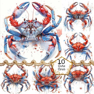 JPEG Watercolor Crab Clipart Bundle Summer Clipart Ocean Life Printable Art Instant Download Paper Crafts Junk Journal Scrapbooking