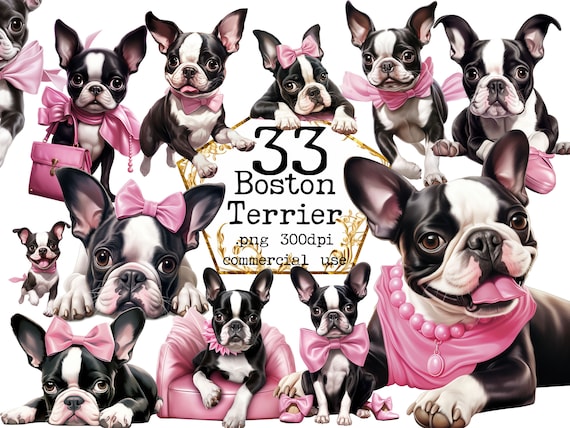 PNG Boston Terrier Clipart PNG Bundle, Dog clipart, Pink Dog clipart, Cute dogs PNG, Scrapbook, Junk Journal, Paper Crafts, Commercial Use