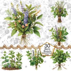 PNG Bunch of Herbs Clipart Bundle PNG Watercolor Cooking PNG Commercial Use Instant Download Paper Crafts Junk Journal Scrapbooking
