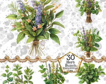 PNG Manojo de hierbas Clipart Paquete PNG Acuarela Cocina PNG Uso comercial Descarga instantánea Artesanías de papel Diario basura Scrapbooking