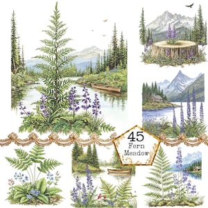 PNG + JPEG aquarelle prairie de fougères Clipart Bundle fougère verdure Clipart printemps Floral Téléchargement instantané papier Artisanat indésirable Journal Scrapbooking