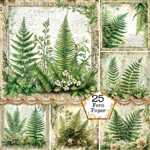 Paquet de papier numérique JPEG pour scrapbooking, fougère, 30 x 12 pouces, papier patiné, fleur, papier à téléchargement immédiat, artisanat en papier, journal indésirable, Scrapbooking