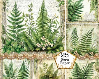 May include: A collage of botanical art prints featuring green ferns and small white flowers. The prints have a vintage aesthetic with a cream-colored background and decorative borders. The text "25 Fern Paper" is visible.
