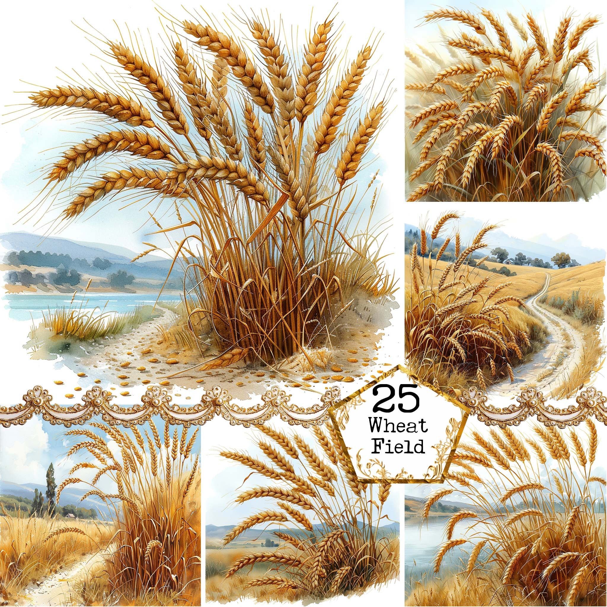 Wheat field harvest - Etsy België, image size:2048x2048