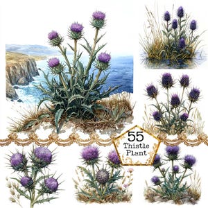 JPEG aquarelle chardon plante Clipart Bundle Téléchargement instantané fleurs sauvages des cliparts paysage Clipart papier artisanat indésirable Journal Scrapbooking