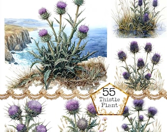 JPEG Watercolor Thistle Plant Clipart Bundle Instant Download Wild Flowers Clipart Landscape Clipart Paper Crafts Junk Journal Scrapbooking