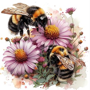 K&ouml;nnte beinhalten: Zwei Hummeln mit schwarzen und gelben Streifen sitzen auf rosa und violetten Bl&uuml;ten mit gelben Zentren. Die Bl&uuml;ten haben viele Bl&uuml;tenbl&auml;tter und sind von gr&uuml;nen Bl&auml;ttern umgeben. Der Hintergrund ist ein Aquarell in Rosa und Wei&szlig;.