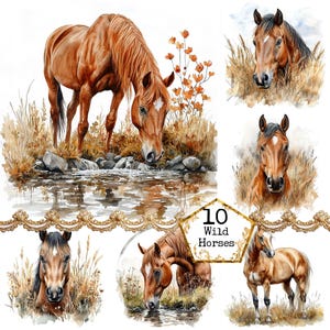 Braunes Pferd Clipart Bundle Sofortiger Download Pferd und Landschaft Clipart Kommerzielle Nutzung Papier Handwerk Junk Journal Scrapbooking