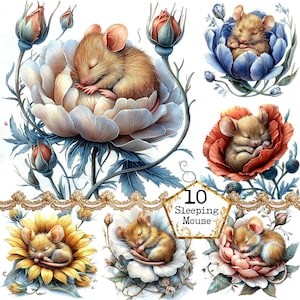 JPEG Topi in un pacchetto di clipart di fiori Stampa vivaio di topi Grafica di topi ad acquerello Download immediato Artigianato di carta Diario di spazzatura Scrapbooking