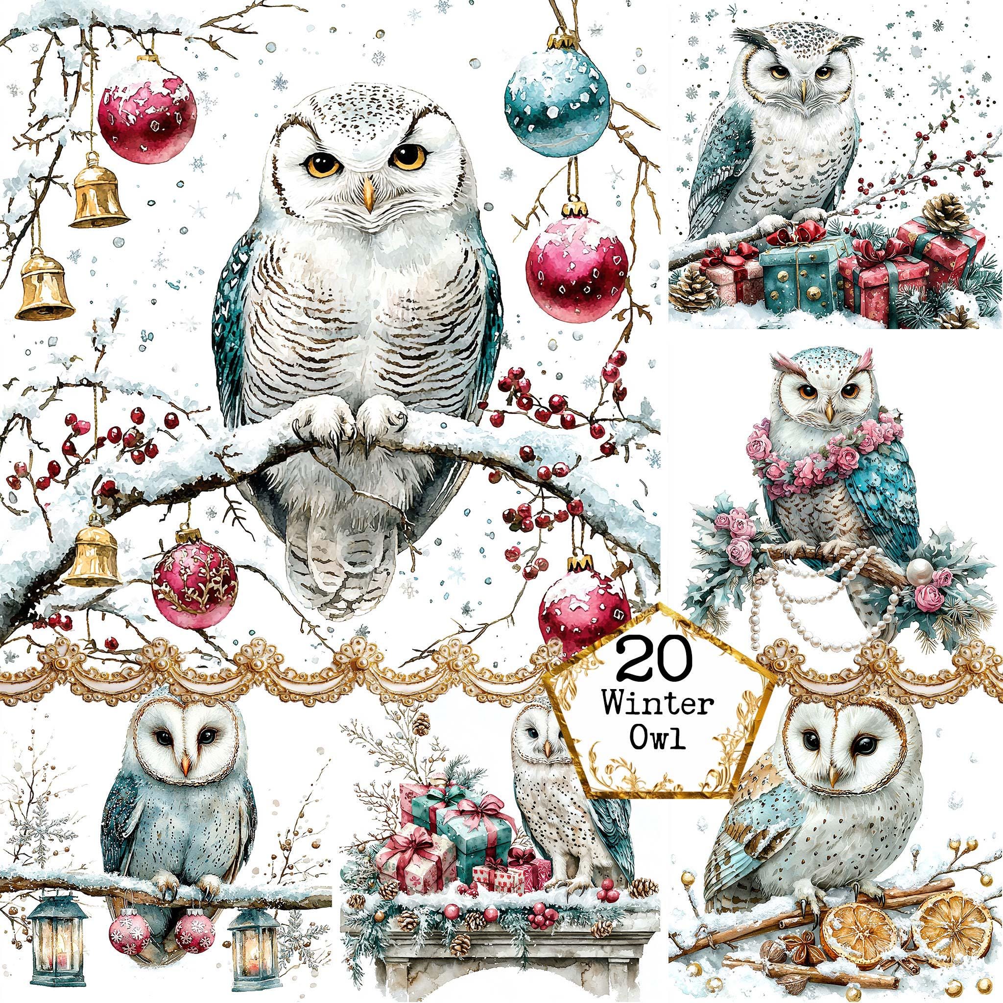 JPEG Watercolor Winter Owl Clipart Bundle Christmas Owl Clipart Christmas Decor Instant Download Pap