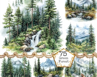Paquete de imágenes prediseñadas de bosque de pinos con acuarela JPEG, imágenes prediseñadas de bosque perenne, arte de montaña, descarga instantánea, manualidades de papel, diario basura, álbumes de recortes
