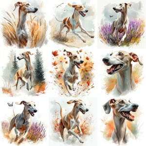 May include: A collection of nine watercolor paintings featuring a brown and white Italian Greyhound dog in various poses and settings. The dog is depicted in a field of wheat, a lavender field, a forest, a field of autumn leaves, and a plain background.