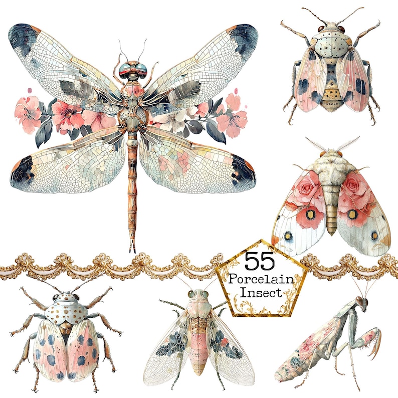 a collection of insects with flowers on them