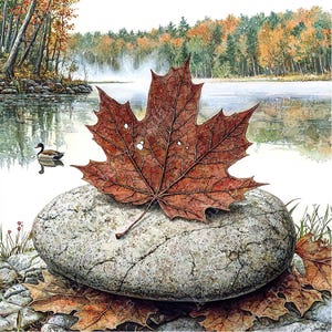 以下が含まれることがあります： 大きな灰色で滑らかな岩の上に、茶色く乾燥したカエデの葉が一枚置かれている。岩は静かな青い湖に部分的に沈んでいる。背景には秋の紅葉をした森が見える。