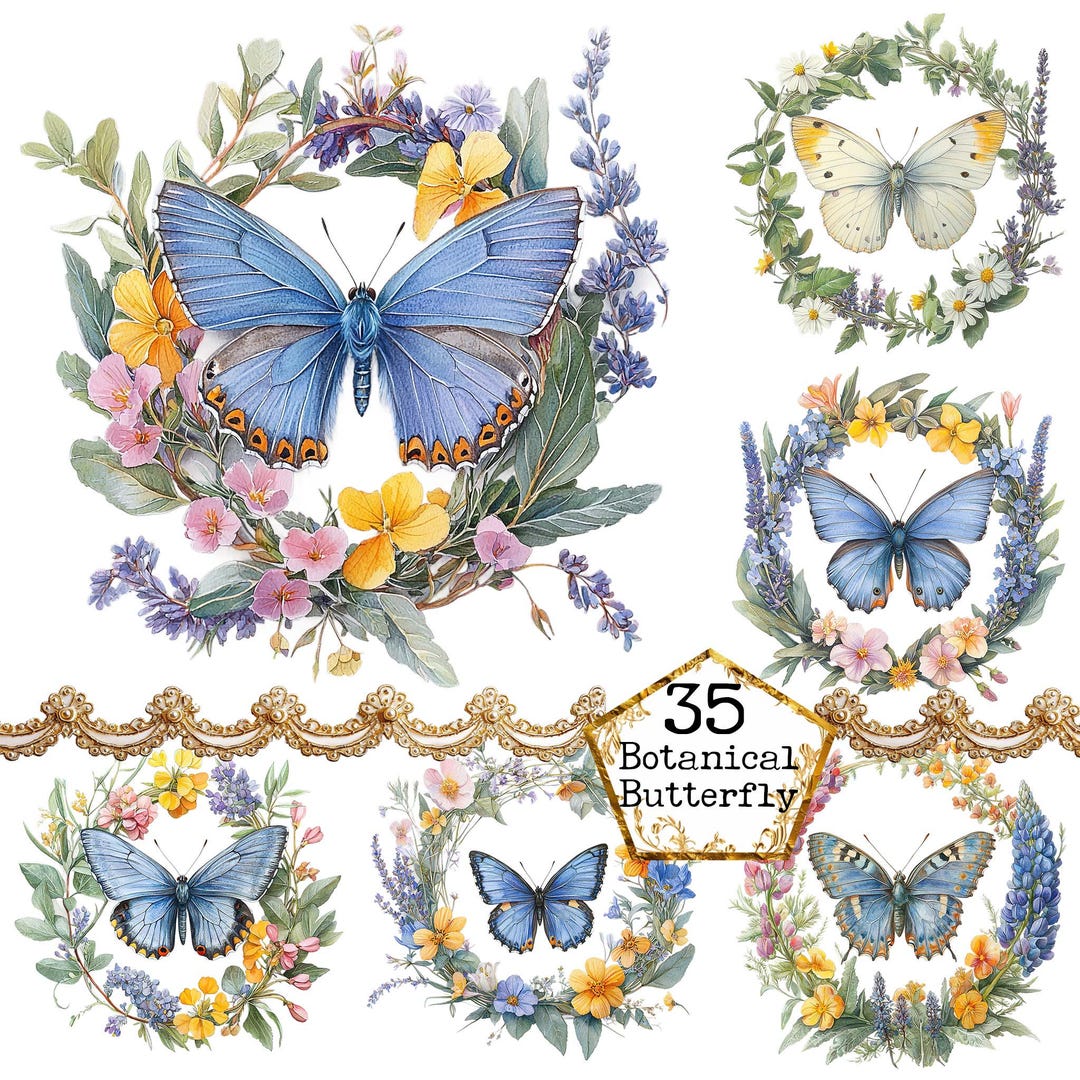 PNG + JPEG Watercolor Botanical Butterfly Clipart Bundle Spring Clipart ...