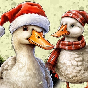 Christmas Duck Clipart Bundle Funny Duck transparent PNG Instant Download Paper Crafts Junk Journal Scrapbooking image 2