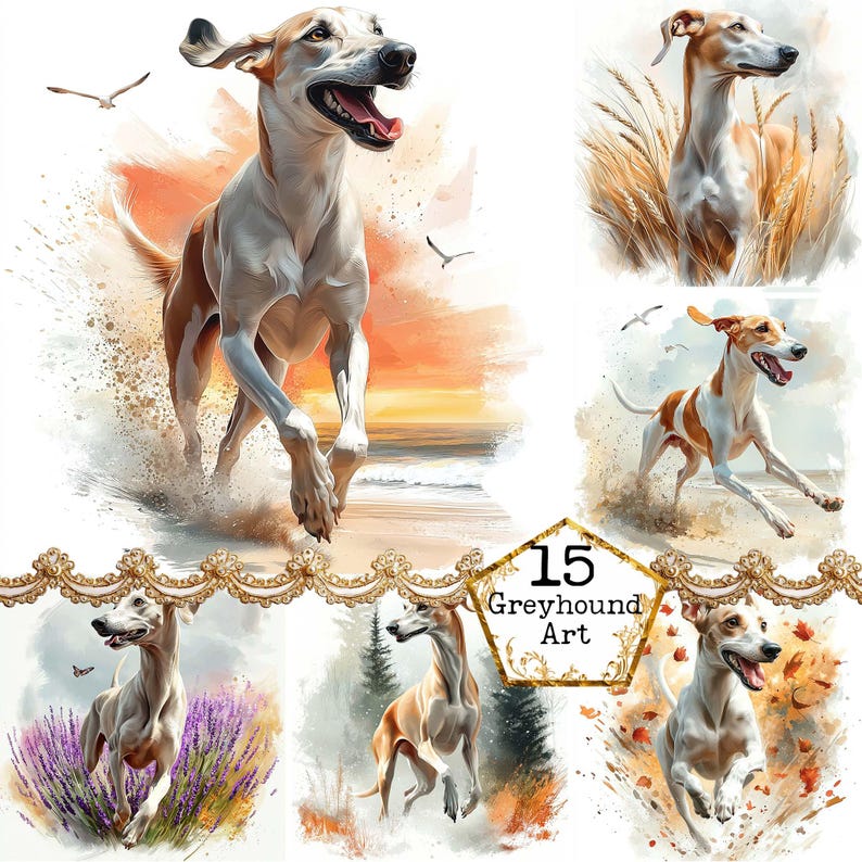 May include: A collection of five watercolor paintings featuring greyhounds running in different settings. The paintings depict the dogs running through fields of lavender, a forest, a beach, and a field of autumn leaves. The paintings are all in a similar style, with a soft, watercolor effect.