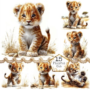 Bundle de cliparts aquarelle Lionceau Lion Clipart animaux de safari usage Commercial téléchargement immédiat artisanat en papier journal indésirable Scrapbooking