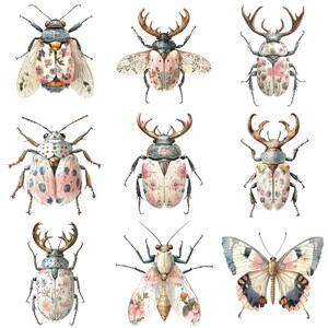 a bunch of bugs that are on a white surface