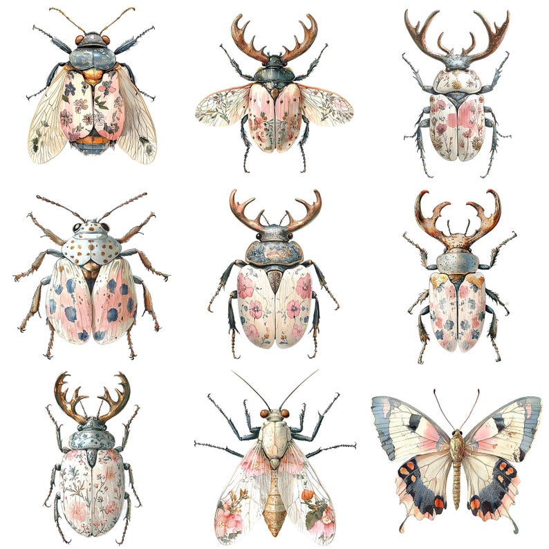 a bunch of bugs that are on a white surface