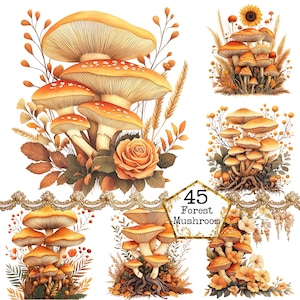 PNG + JPG aquarelle forêt champignon Clipart Bundle champignons magiques Woodland Clipart Téléchargement instantané Paper Craft Junk Journal Scrapbooking