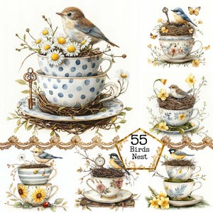JPEG Acquerello Tazza da tè primaverile con nidi di uccelli Clipart Bundle Grafica primaverile Floreale Download istantaneo Artigianato di carta Diario spazzatura Scrapbooking