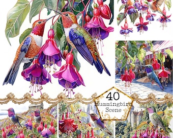 Colibri aquarelle et fleurs JPEG Bundle Clipart fleurs printanières oiseaux Clipart Téléchargement instantané Papier Artisanat indésirable Journal Scrapbooking