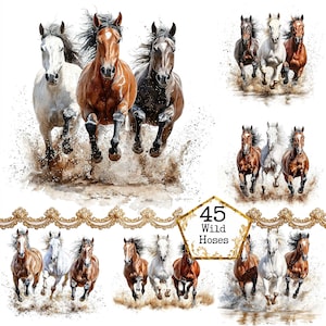 JPEG Acquerello Cavalli Selvaggi Clipart Bundle 3 Cavalli Selvaggi Clipart Commerciale Download Istantaneo Carta Artigianato Junk Journal Scrapbooking