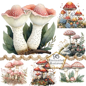 PNG + JPEG Aquarelle forêt champignon Clipart Bundle Champignons magiques Woodland Image Téléchargement instantané Papier Artisanat Junk Journal Scrapbooking