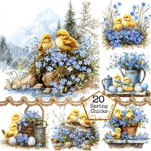 Puede incluir: Un collage digital de 20 pollitos de primavera, cada uno rodeado de flores azules de nomeolvides. Los pollitos son amarillos y esponjosos, y las flores están dispuestas en una variedad de patrones. El texto "20 Spring Chicks" se muestra en el centro de la imagen.