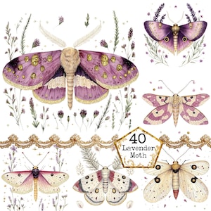 PNG + JPEG Aquarell Lavendel Clipart Bundle Frühling Clipart mystische Motten Art Instant Download Papier Handwerk Junk Journal Scrapbooking