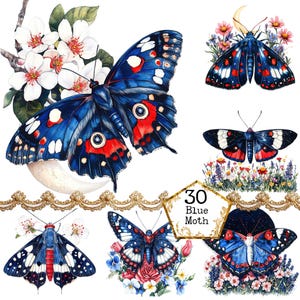 PNG + JPEG Aquarell Indigo Motte Clipart Bundle Frühling Clipart mystische Motten Art Instant Download Papier Handwerk Junk Journal Scrapbooking