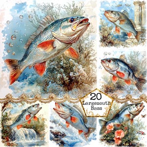 JPEG Watercolor Largemouth Bass Clipart Bundle Fishing Clipart Fish Clipart Instant Download Paper Crafts Junk Journal Scrapbooking