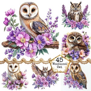 JPEG Aquarell niedliche Blumen Eule Clipart Bundle Wald Clipart Aquarell kommerzielle Sofort-Download Papier Handwerk Junk Journal Scrapbooking